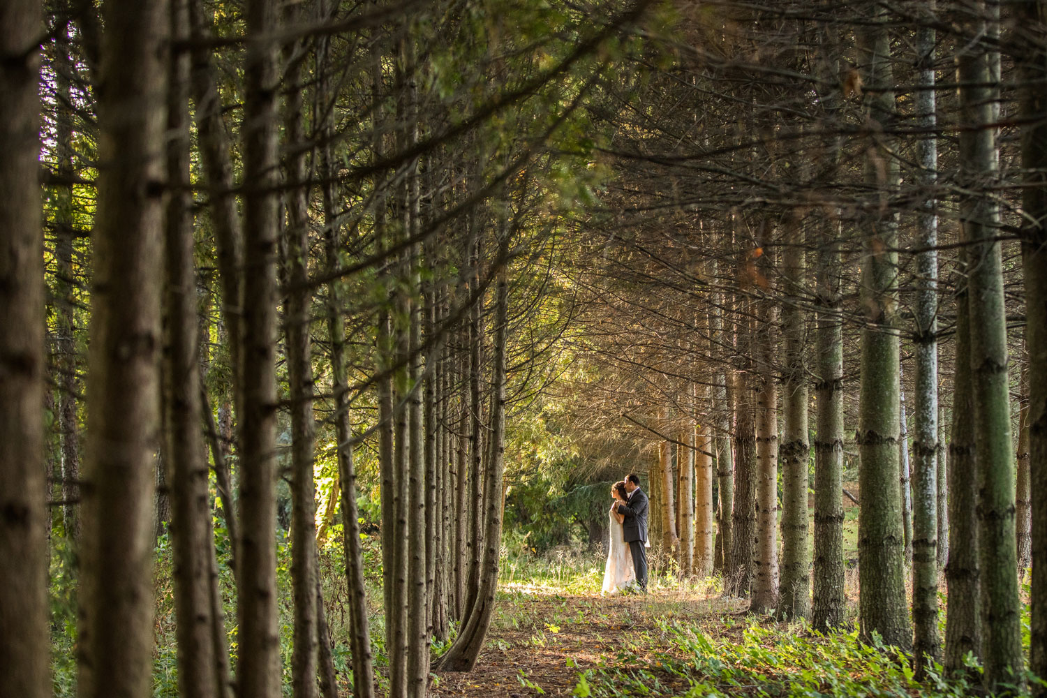 Kurtz Orchards wedding celebration in Niagara-on-the-Lake
