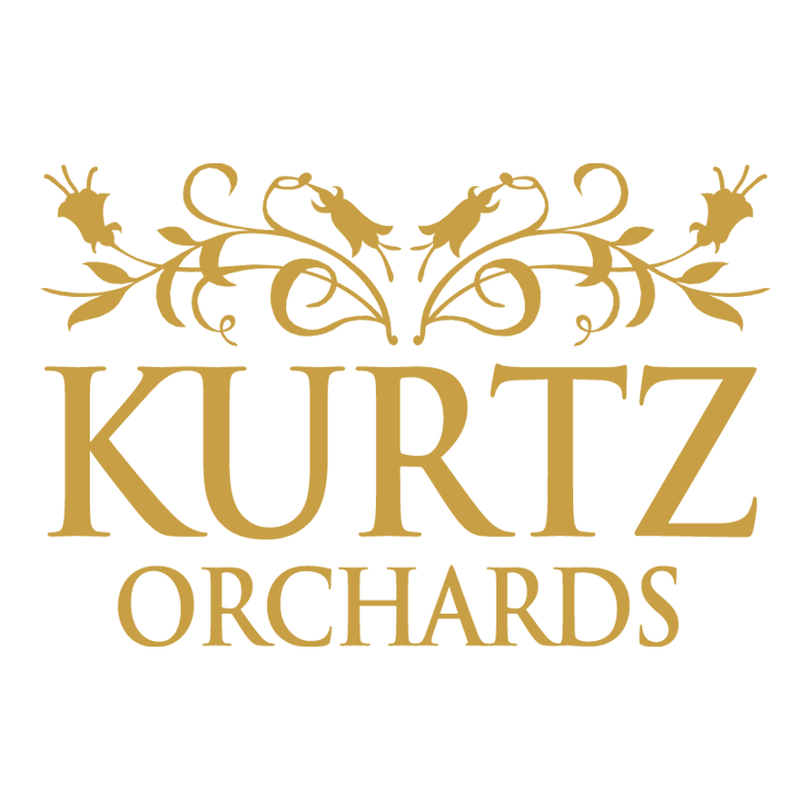Kurtz Logo